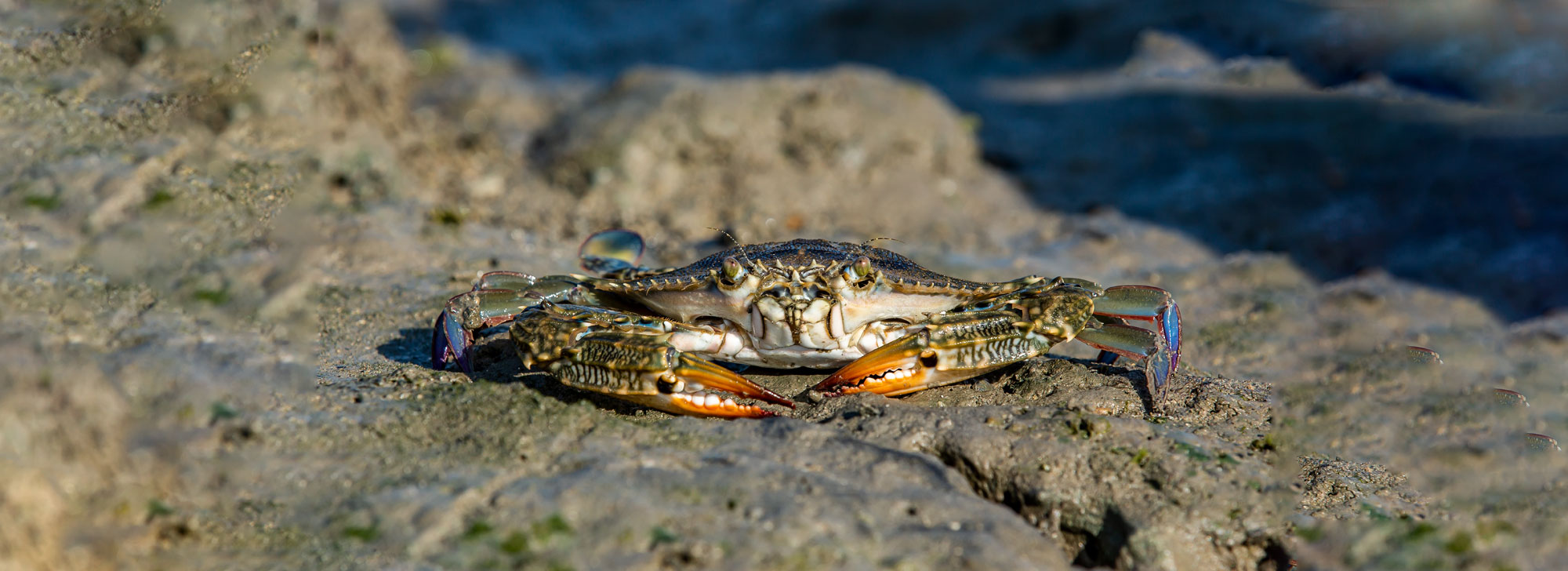 Narara National Marine Park
